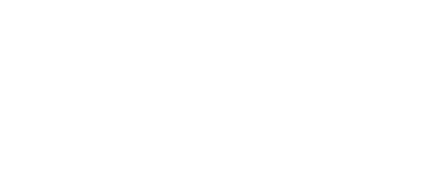 Fusion Risk Management