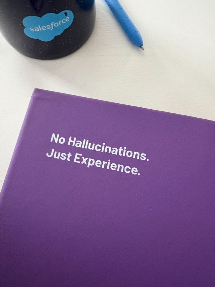 No Hallucinations. Just Experience. session notebook