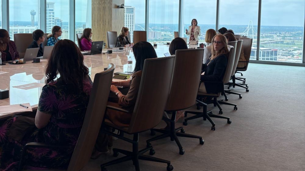Board-level session convened with Vela Board Advisors